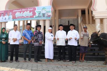 Sapi bantuan pemprov di Barito Utara  diserahkan kesembilan kecamatan