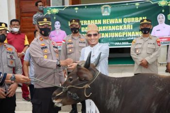 Polresta Tanjungpinang salurkan bantuan 4 ekor sapi kurban