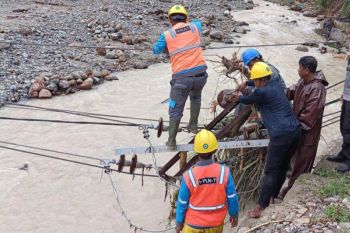 PLN Ambon gerak cepat pulihkan gangguan listrik dampak cuaca ekstrem