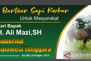 Gubernur Sulawesi Tenggara salurkan 65 hewan kurban untuk 17 kabupaten/kota