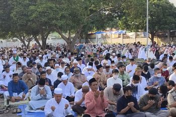 Muhammadiyah Lampung: Penyembelihan kurban dilakukan selama hari tasyrik
