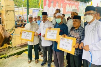 Pemprov Kalteng berikan 419 ekor sapi kurban untuk masyarakat