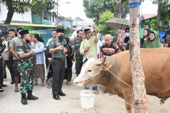 Pangdam XIV/Hasanuddin serahkan puluhan hewan kurban jelang Idul Adha 1443 H