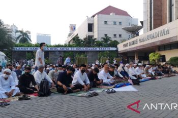 PP Muhammadiyah terima sapi dari Presiden dan Wapres