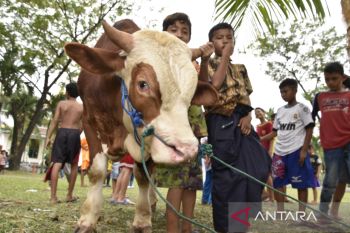 Masjid Agung Palembang bagikan daging kurban kepada masyarakat melalui RT