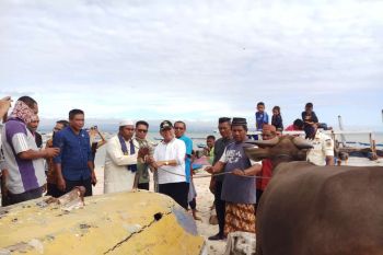 Gubernur salurkan hewan kurban bagi kaum duafa di Kabupaten Kupang