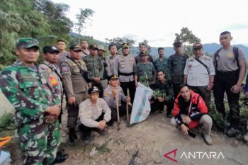 Polisi buru enam tersangka pemilik ladang ganja di lahan milik Perhutani