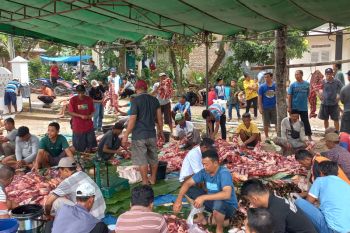 Ratusan warga Dusun Simbaringin mendapatkan daging kurban