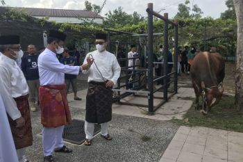 Masjid Agung Batam bagikan daging kurban hingga ke pulau-pulau penyangga
