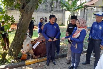 Kadin DKI: Hari Raya Idul Qurban momentum mengasah kepedulian