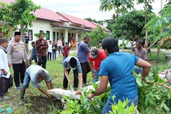 Polres Agam potong empat ekor sapi pada Idul Adha