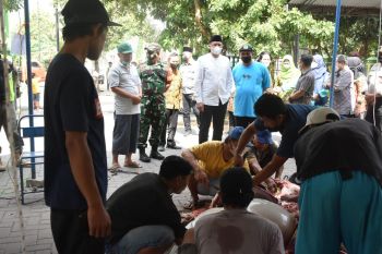 Dinas Pertanian Sleman menemukan satu sapi kurban bergejala PMK