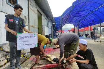 Pertamina Patra Niaga IT Panjang dan Dompet Dhuafa Lampung salurkan hewan kurban