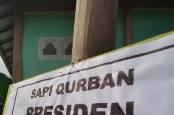 Penyintas bencana Sigi  terima daging kurban dari Presiden Jokowi