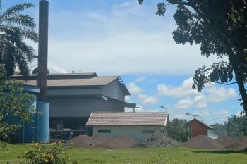 Belum ada penjualan, satu pabrik sawit di Mukomuko stop operasi