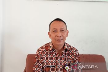 Bantul tidak menemukan kasus PMK pada hewan kurban