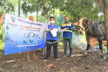 PLTU Batang bagikan 16 hewan kurban di 13 desa terdampak