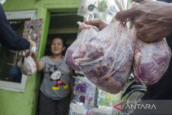 Pencegahan PMK saat pembagian daging kurban