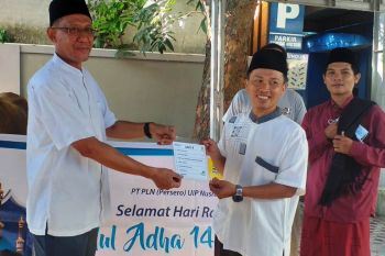PLN menyalurkan puluhan ekor hewan kurban ke NTB dan NTT