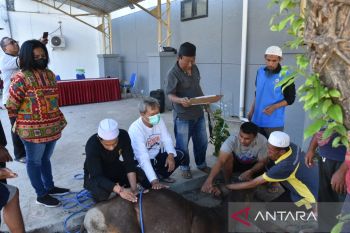 Kemenkumham NTT bagikan 16 ekor daging kurban