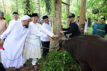 Pemkab Bengkalis serahkan hewan kurban ke pengurus masjid