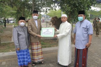 Sebanyak 4.878 hewan kurban disembelih pada perayaan Idul Adha di Gunung Kidul