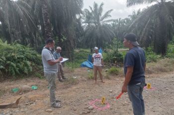 Seorang wanita ditemukan tewas bersimbah darah di areal perkebunan sawit