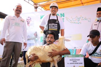 Baznas Siak terima 100 domba program kurban secara daring