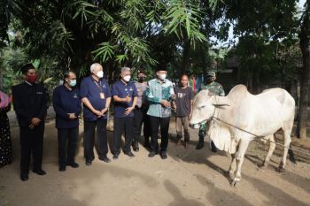 Baznas Sleman melaksanakan "Tebar Kurban" 2022