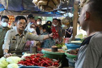 Mentan jalin kerja sama dengan BNPB soal pencegahan virus PMK