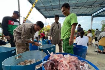IMRA RAPP bagikan 7.346 kantong kurban