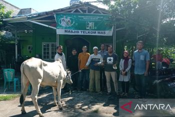 Honda DAW Bagikan Hewan Kurban pada Idul Adha 1443 H