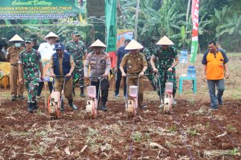 Kodim 0429/Lampung Timur tanam jagung di lahan tidur untuk ketahanan pangan