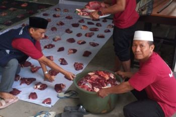 Distan Mataram temukan hewan kurban PMK gejala ringan