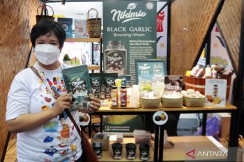 Kaltim genjot sektor kreatif jadi motor penggerak ekonomi