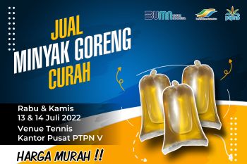 PTPN V distribusikan migor Rp12.000 per kg di Pekanbaru, catat tanggalnya