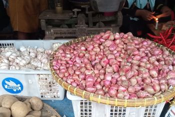 Usai Idul Adha harga bawang merah di Bandarlampung bertahan tinggi