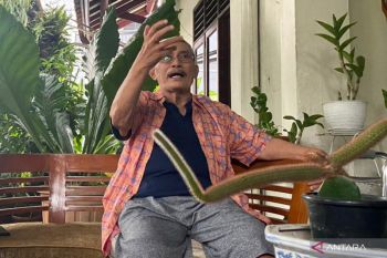 Ketua RT belum terima laporan penembakan di rumahIrjen Ferdy Sambo