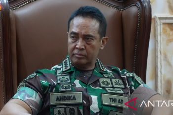Panglima TNI instruksikan jajarannya laporkan perkembangan kasus yang libatkan prajurit