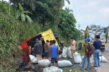 Truk angkut delapan ton kopi terposok, supir alami patah tulang