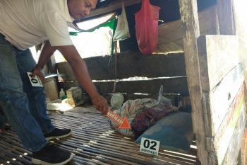 Seorang duda tewas diduga tenggak racun pembasmi rumput di kebun jagung