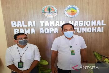 TNRAW catat 26 ekor musang mati tertabrak selama tiga tahun
