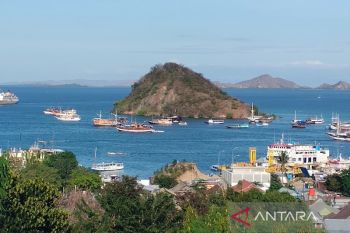 Pemesanan tiket wisata TN Komodo daring mulai Agustus 2022