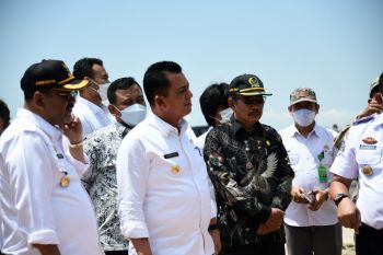 Wamen LHK upayakan alih fungsi lahan bandara Karimun rampung tahun ini