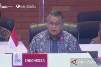 G20 members should address risks of financial exclusion: BI governor