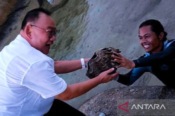 Senator Haripinto: Lestarikan kima sebagai hewan dilindungi
