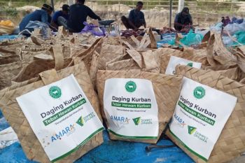 Dompet Dhuafa Sultra salurkan 310 ekor sapi untuk kurban