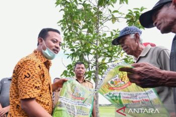 Sulsel salurkan benih padi gratis 1,2 juta kilogram untuk musim tanam I 2022