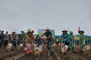 Pemkab Sigi:  Desa sediakan lahan tiga hektare untuk penguatan pangan
