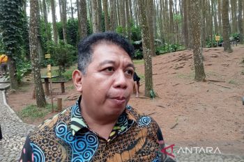 Pemkab : Gelombang tinggi pantai selatan Bantul terjadi setiap tahun